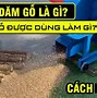 Dăm Gỗ Là Cái Gì Của Mỹ