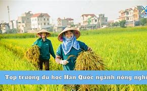 Làm Nông Nghiệp Tại Hàn Quốc